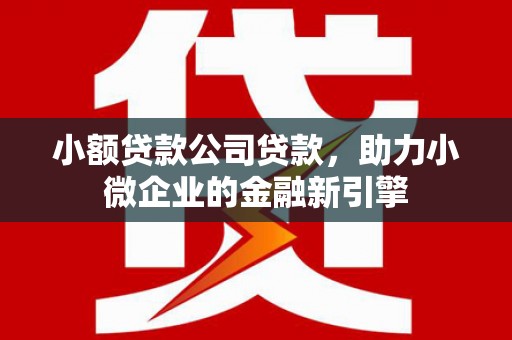米林小额贷款公司贷款，助力小微企业的金融新引擎