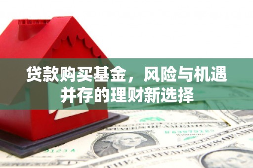 米林贷款购买基金，风险与机遇并存的理财新选择