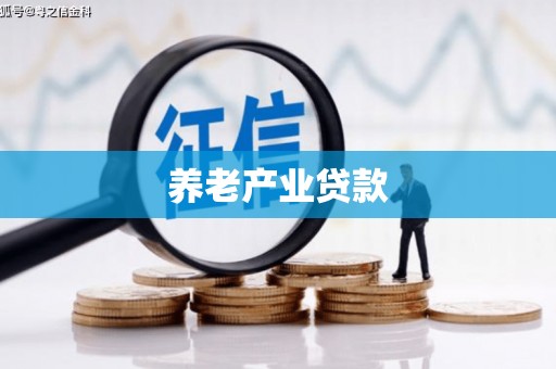 米林养老产业贷款
