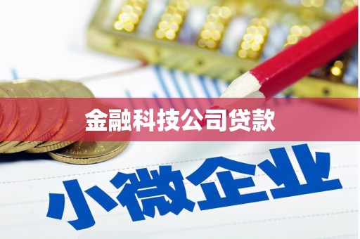 米林金融科技公司贷款