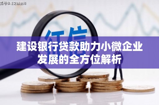 米林建设银行贷款助力小微企业发展的全方位解析