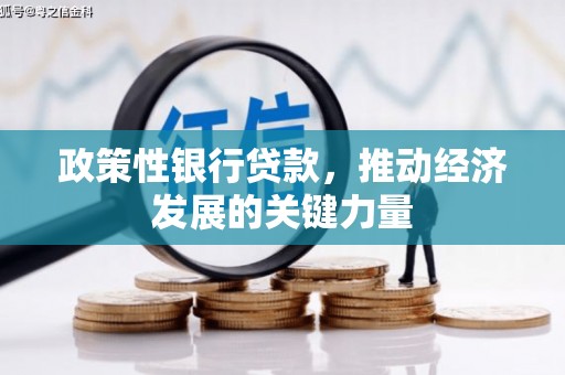 米林政策性银行贷款，推动经济发展的关键力量