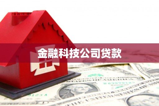 米林金融科技公司贷款