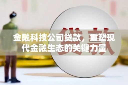 米林金融科技公司贷款，重塑现代金融生态的关键力量