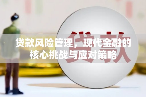 米林贷款风险管理，现代金融的核心挑战与应对策略