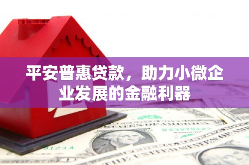 米林平安普惠贷款，助力小微企业发展的金融利器