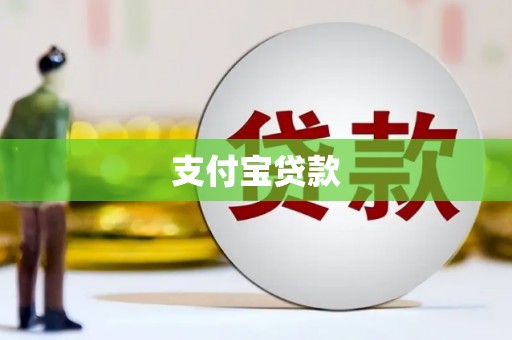 米林支付宝贷款