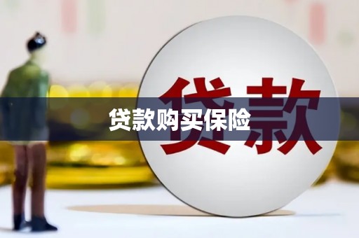 米林贷款购买保险