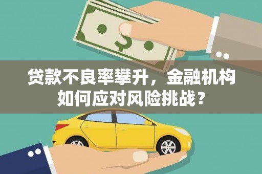 米林贷款不良率攀升，金融机构如何应对风险挑战？