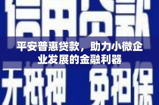 米林平安普惠贷款，助力小微企业发展的金融利器