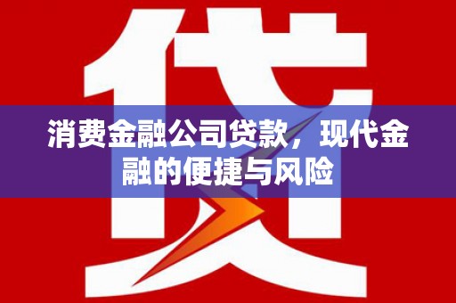 米林消费金融公司贷款，现代金融的便捷与风险