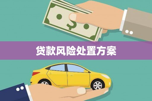 米林贷款风险处置方案