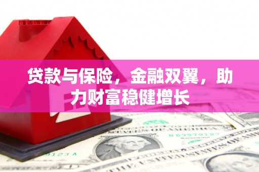 米林贷款与保险，金融双翼，助力财富稳健增长