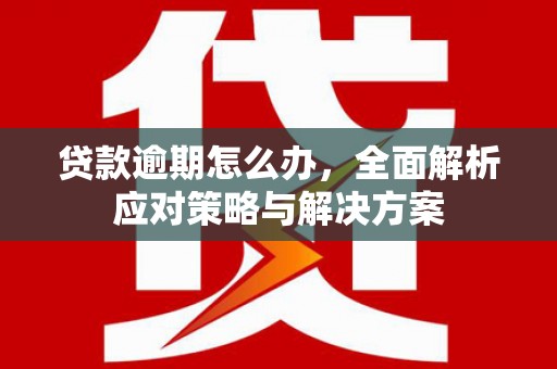 米林贷款逾期怎么办，全面解析应对策略与解决方案