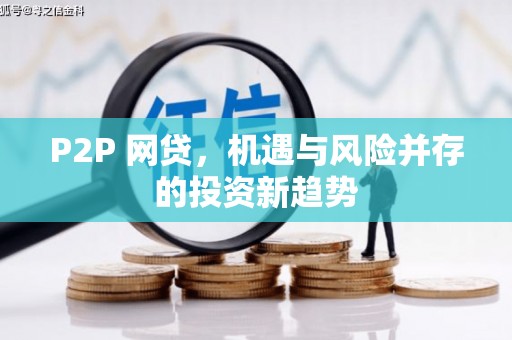 米林P2P 网贷，机遇与风险并存的投资新趋势