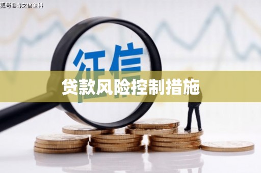 米林贷款风险控制措施