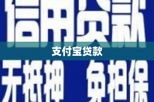 米林支付宝贷款