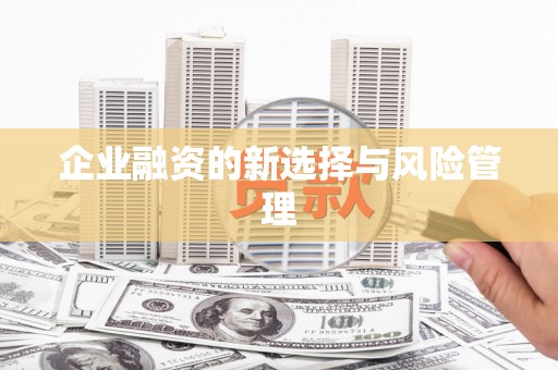 米林企业融资的新选择与风险管理