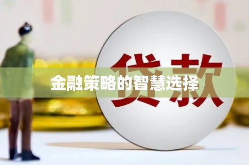 米林金融策略的智慧选择
