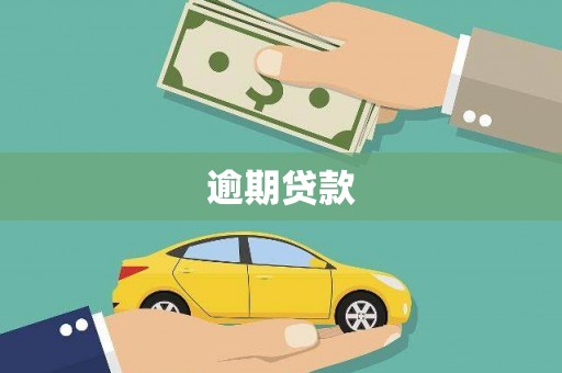 米林逾期贷款