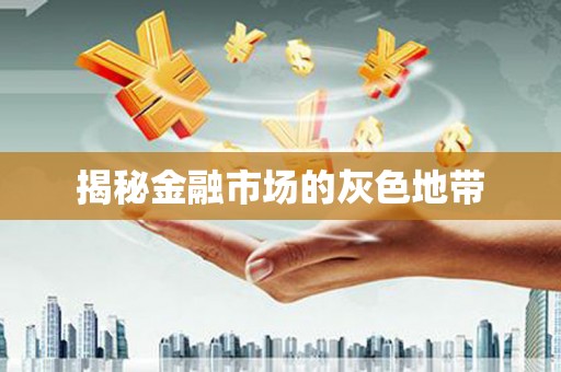 米林揭秘金融市场的灰色地带