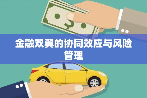 米林金融双翼的协同效应与风险管理