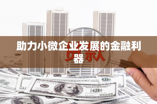 米林助力小微企业发展的金融利器