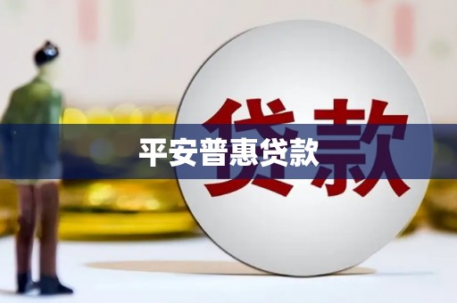 米林平安普惠贷款